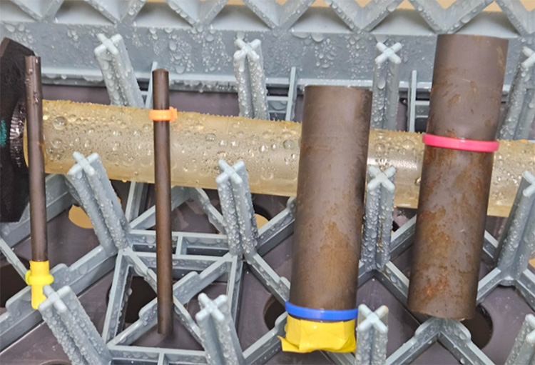 Oiled samples after 24 hours of continuous B117 salt spray testing