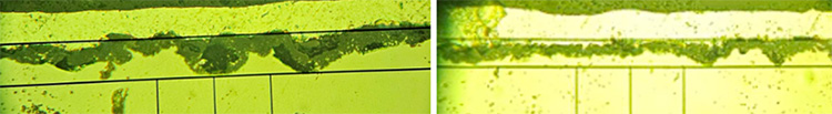 Cross-sectional micrograph of coating thickness on 8620 steel